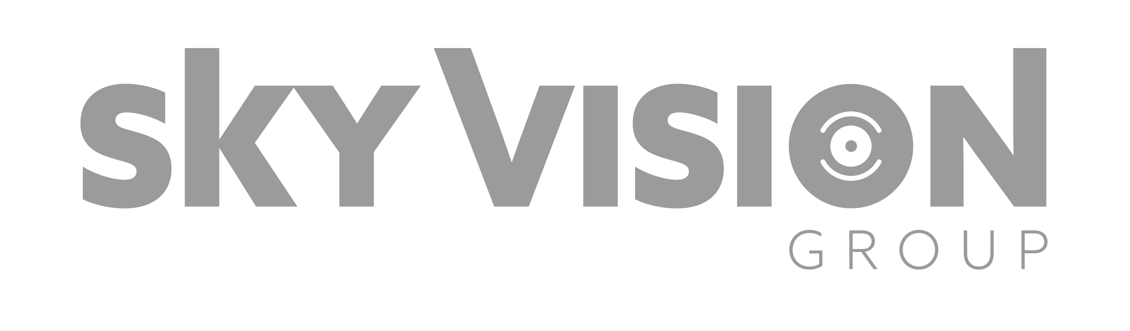 Sky Vision Group